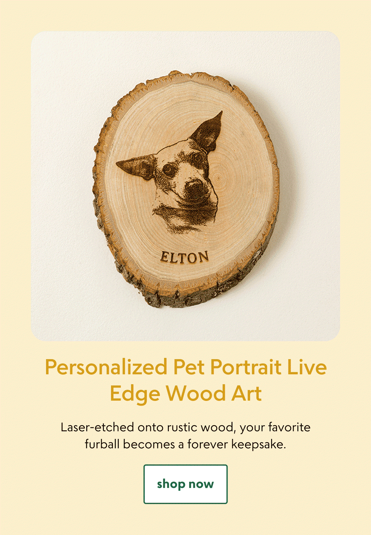 personalized-pet-portrait-live-edge-wood-art