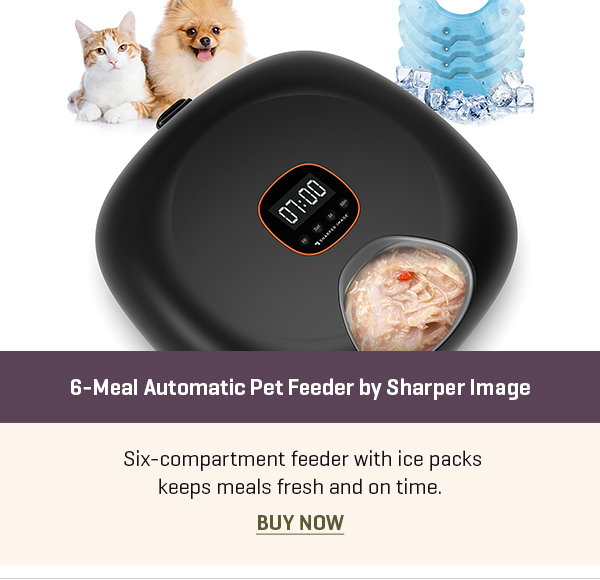 6-Meal Automatic Pet Feeder by Sharper Image