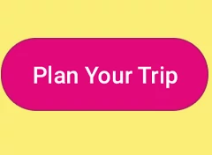 Plan Your Trip