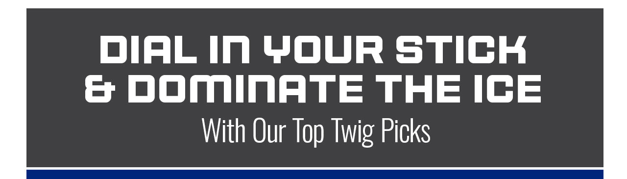 B2- Top Twig Picks