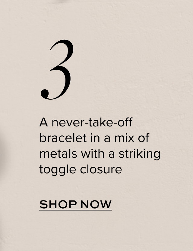 A never-take-off bracelet in a mix of metals with a striking toggle closure