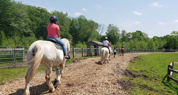 Horseback Riding & Lessons – Loantaka Park Views in Morristown, NJ