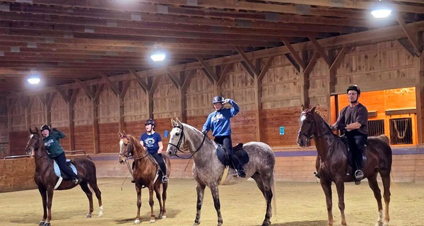 One or Two 30-Minute Horseback Riding/Driving Lessons