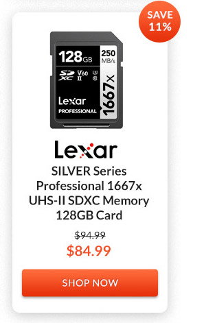 Lexar SILVER Series Professional 1667x UHS-II SDXC Memory 128GB Card
