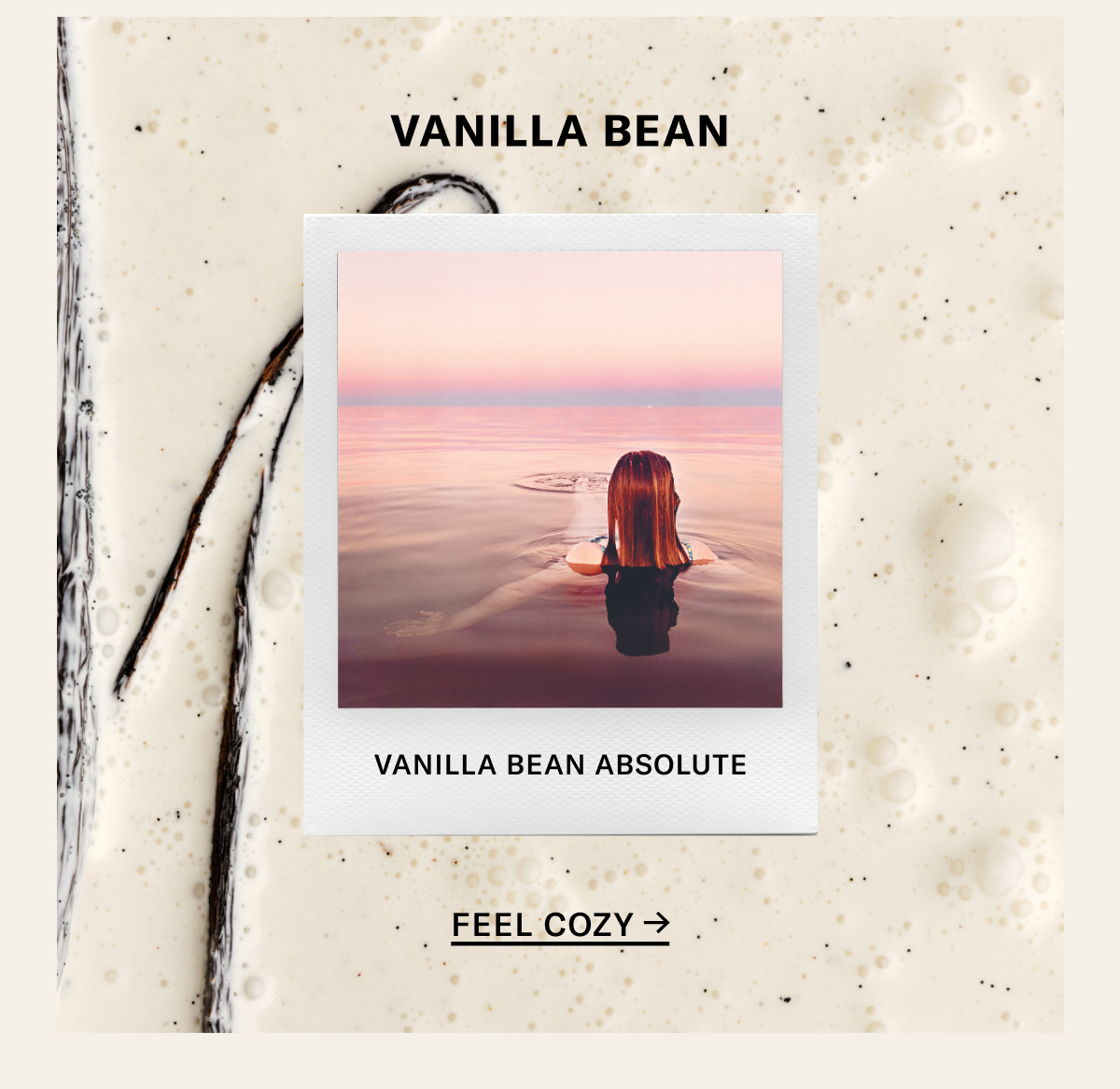 Vanilla Bean
