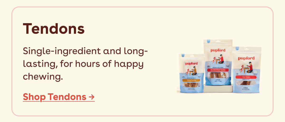Shop Tendons 