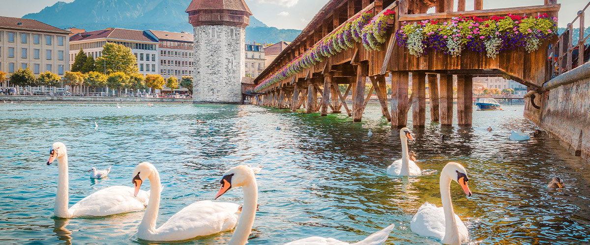 Rhine Highlights with Switzerland