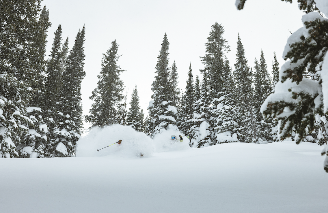 Two skiers in powder