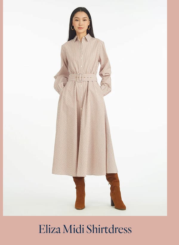 Eliza Midi Shirtdress in Rust Stripe