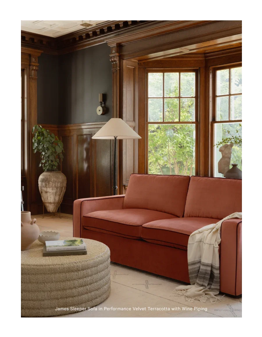 James sleeper sofa