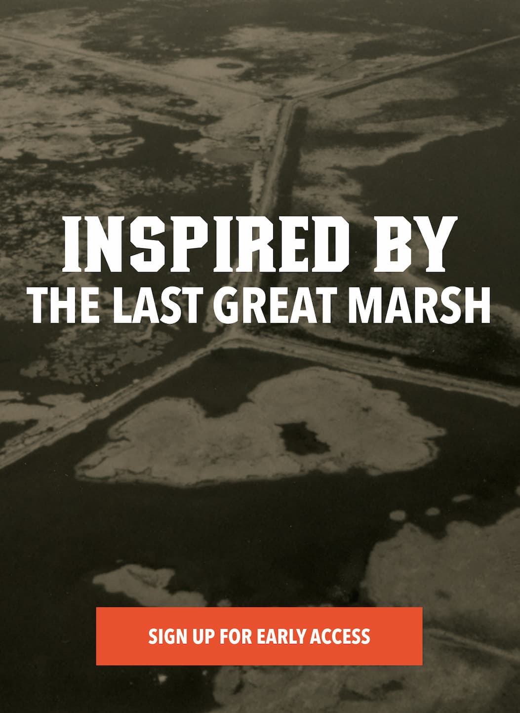 Inspired by The Last Great Marsh