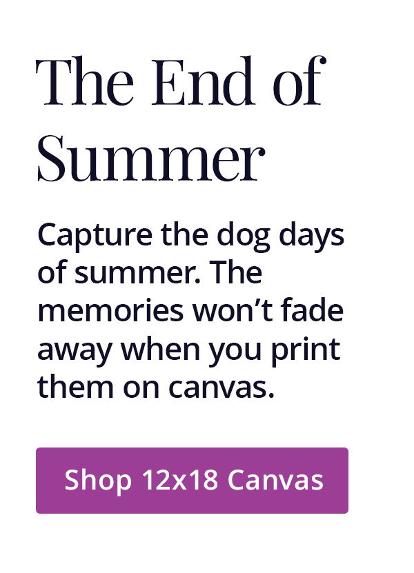 The End of Summer