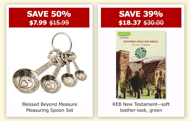 Blessed Beyond Measure Measuring Spoon Set | REB New Testament