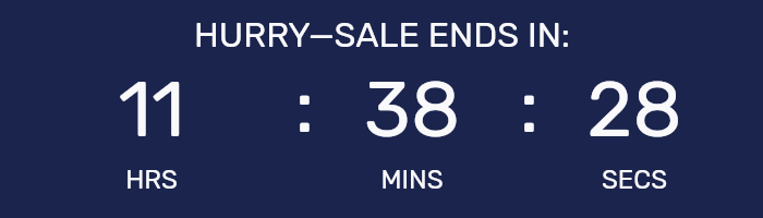 Countdown timer for Night Owl Sale.