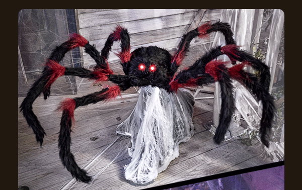 Shop Red Jumping Spider