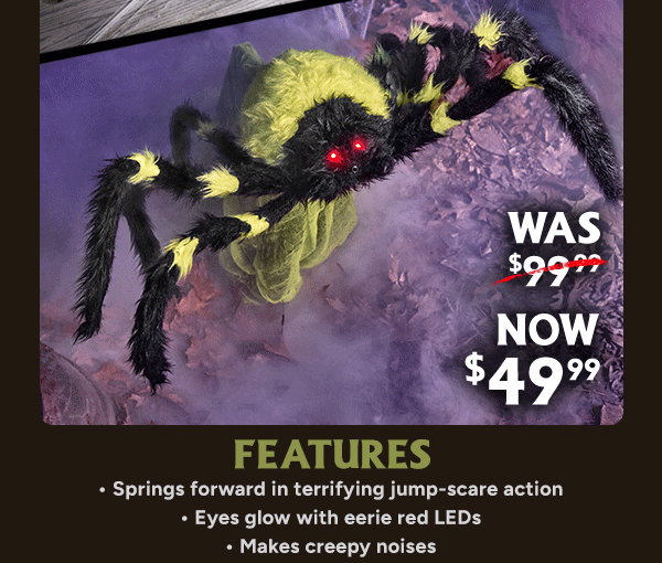 Shop Green Jumping Spider