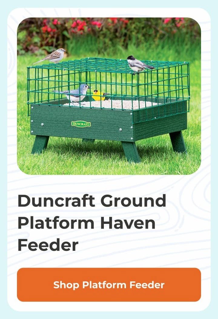 Duncraft Ground Platform Haven Feeder