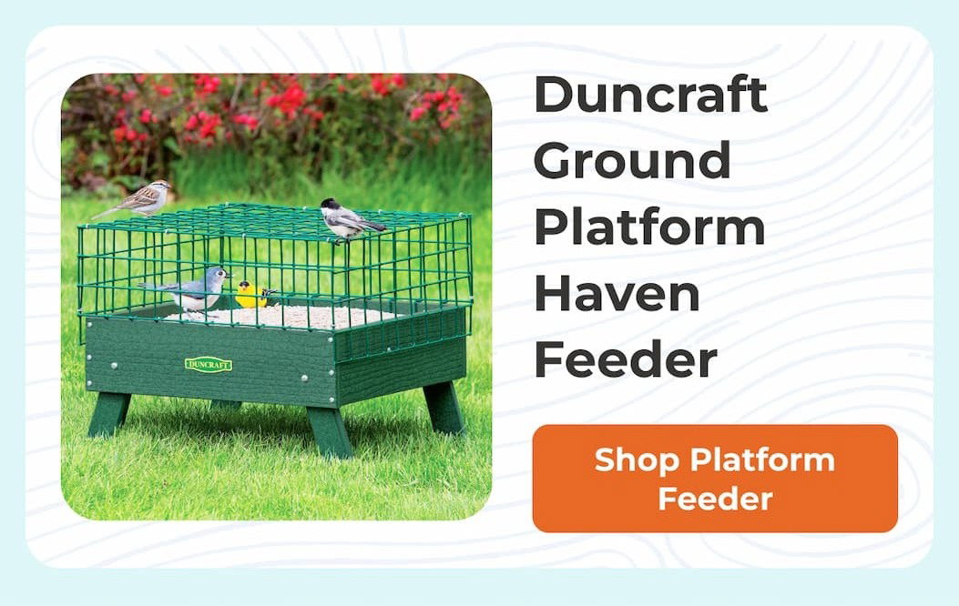 Duncraft Ground Platform Haven Feeder