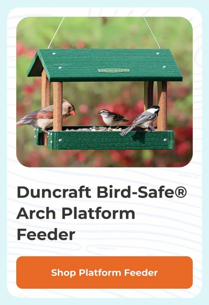 Duncraft Bird-Safe Arch Platform Feeder