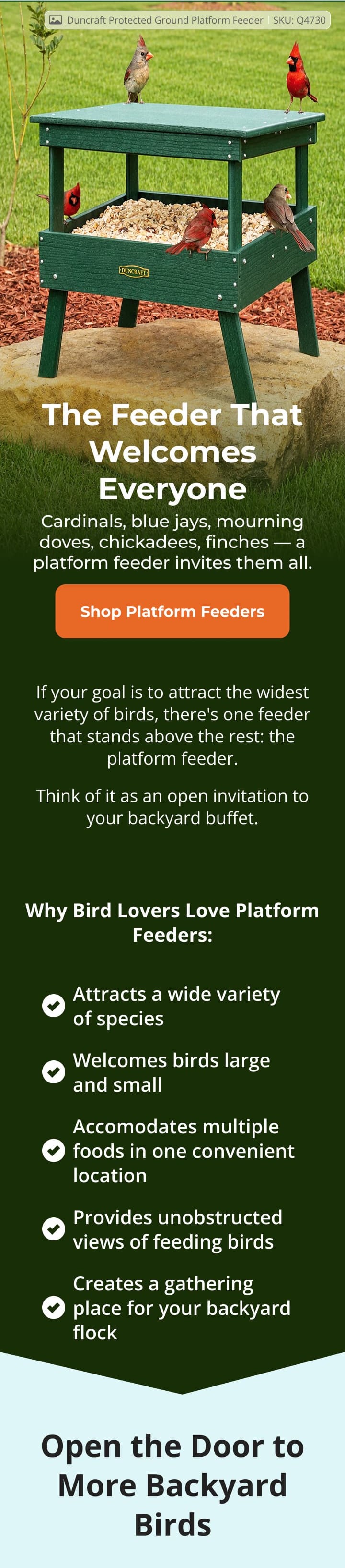 The Feeder That Welcomes Everyone