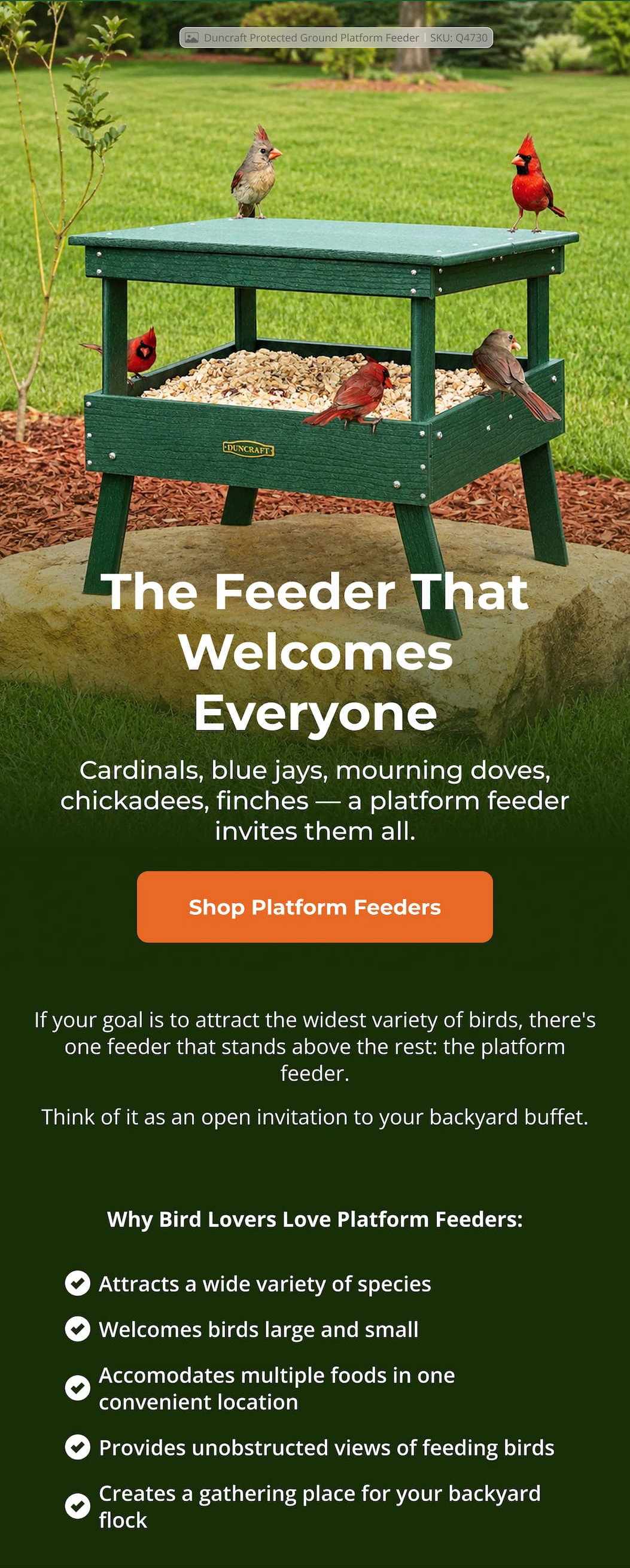 The Feeder That Welcomes Everyone