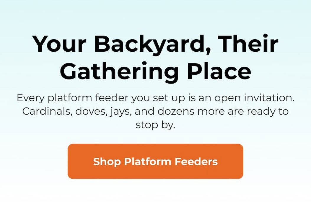 Your Backyard, Their Gathering Place