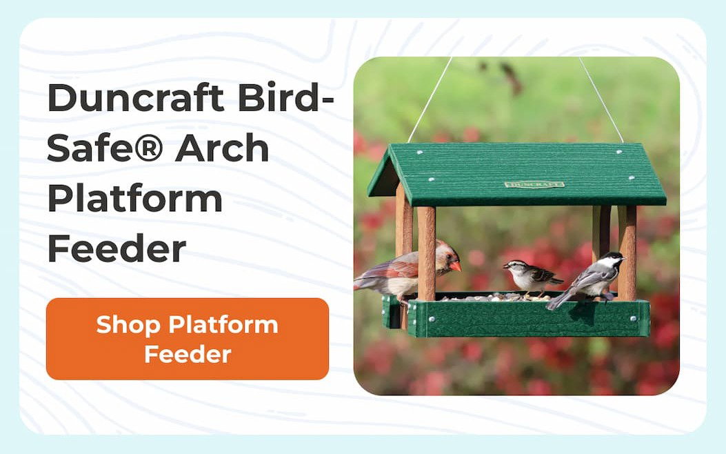 Duncraft Bird-Safe Arch Platform Feeder