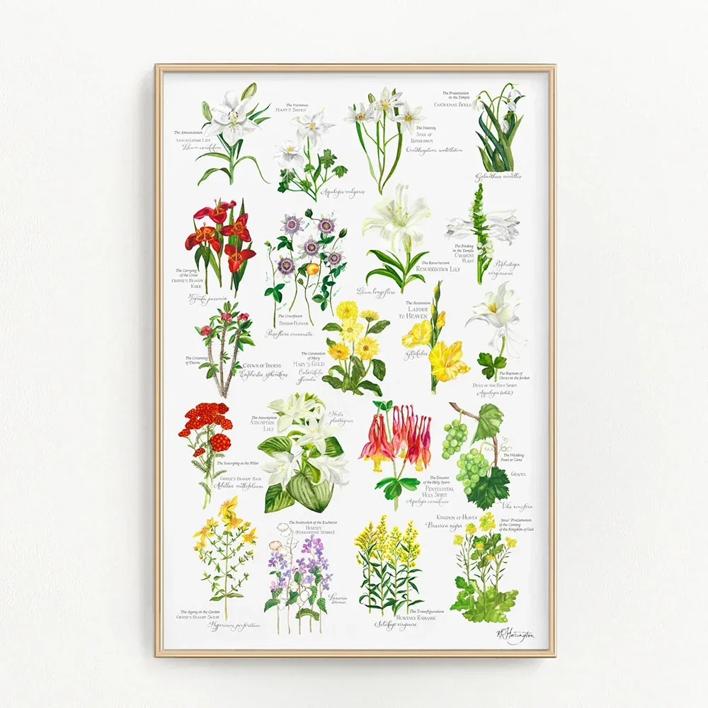 Full Color Botanical Rosary Mysteries Poster