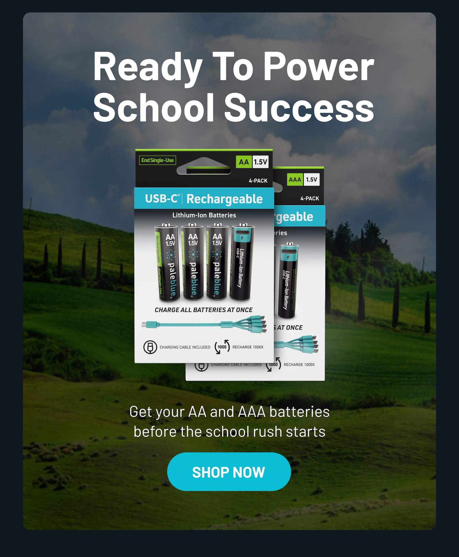 Shop AA and AAA Voyager batteries.