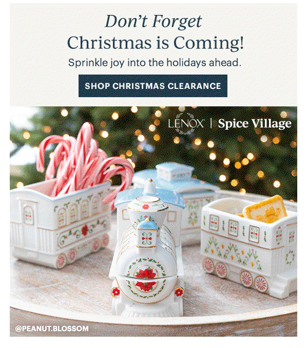 Don't Forget  Christmas is Coming!  Sprinkle joy into the holidays ahead.  [SHOP CHRISTMAS CLEARANCE]