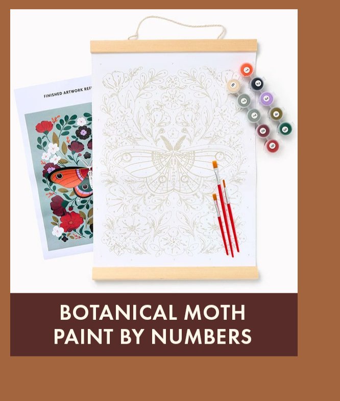 Botanical Moth Paint by Numbers