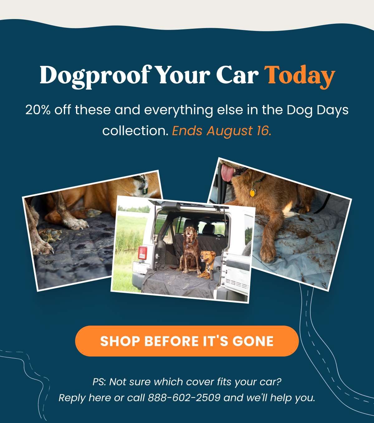 SHOP BEFORE IT'S GONE