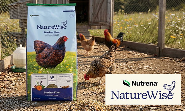 Nutrena Naturewise