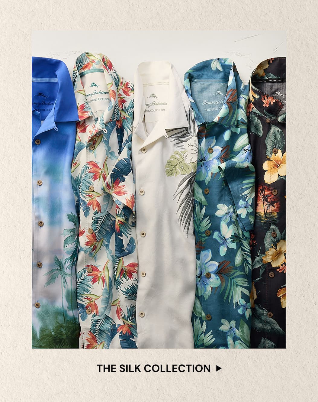 Shop the silk collection