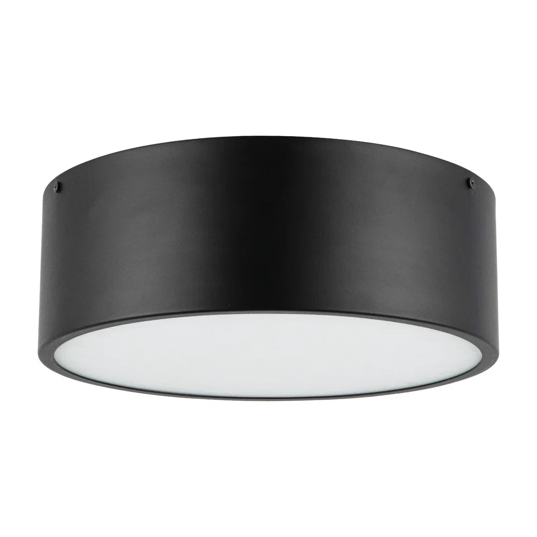 Mossy 2-Light Flush Mount