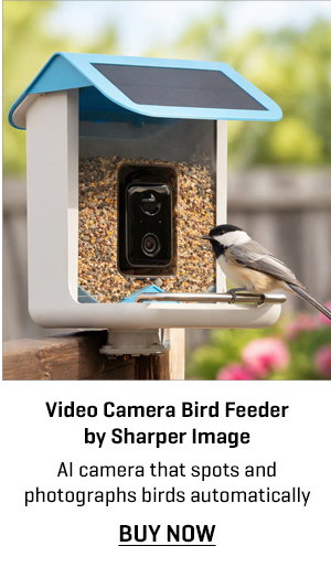 Video Camera Bird Feeder by Sharper Image