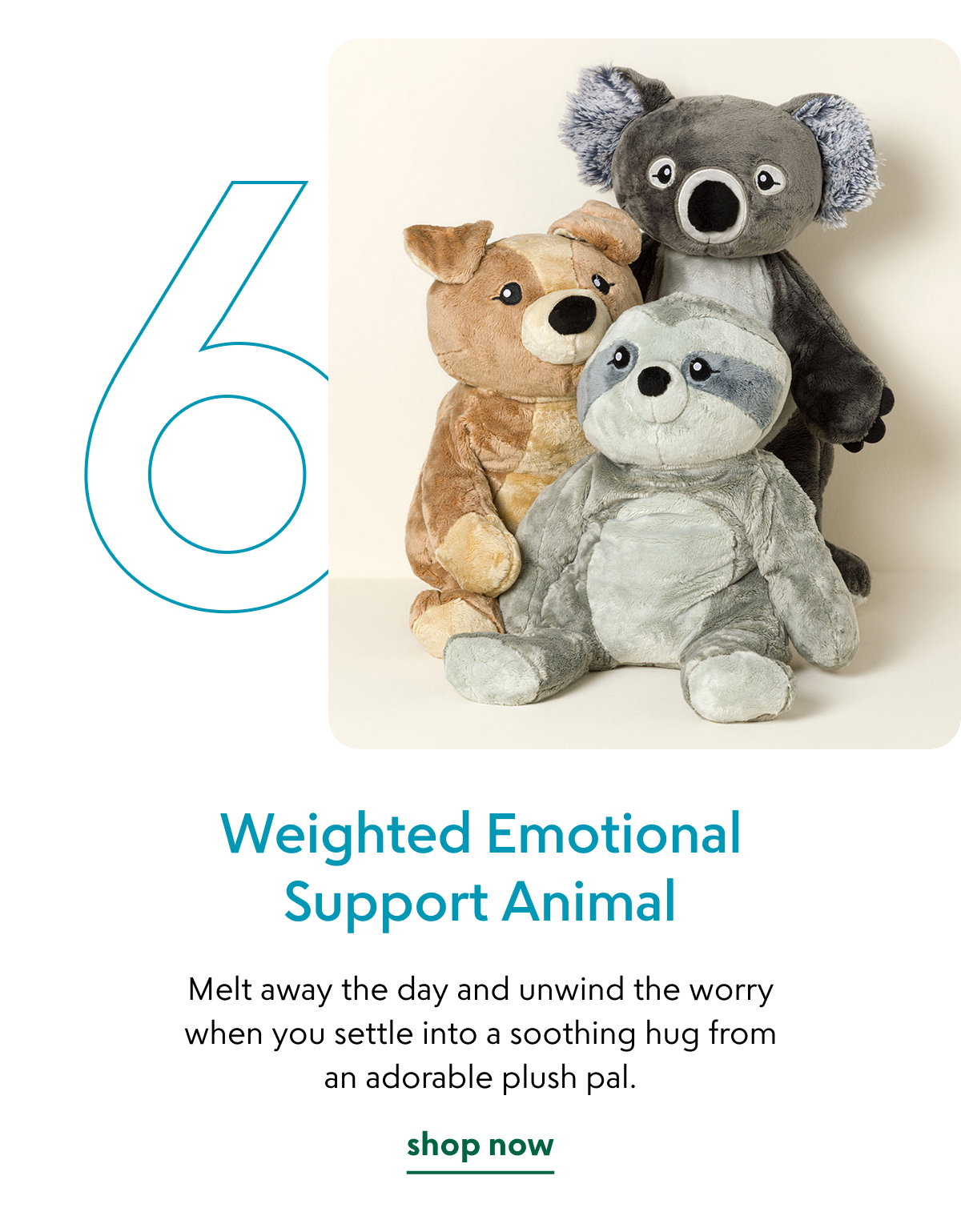 weighted-emotional-support-animal