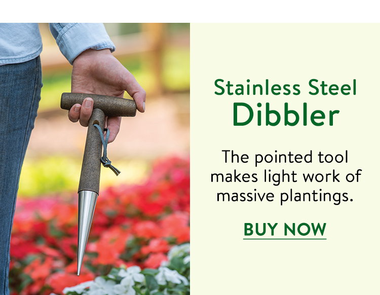 Burpee Stainless Steel Dibbler