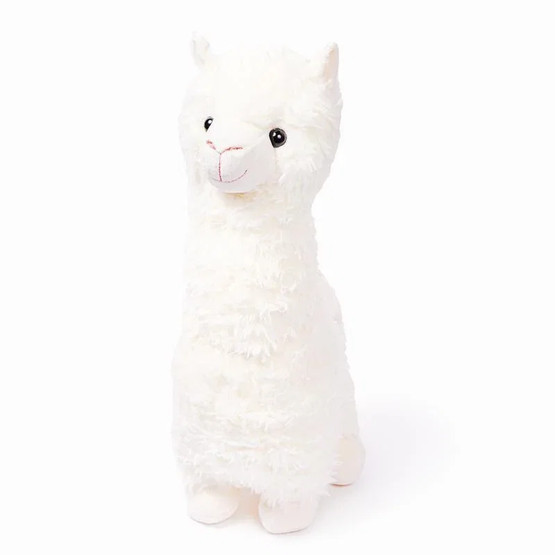 Alpaca