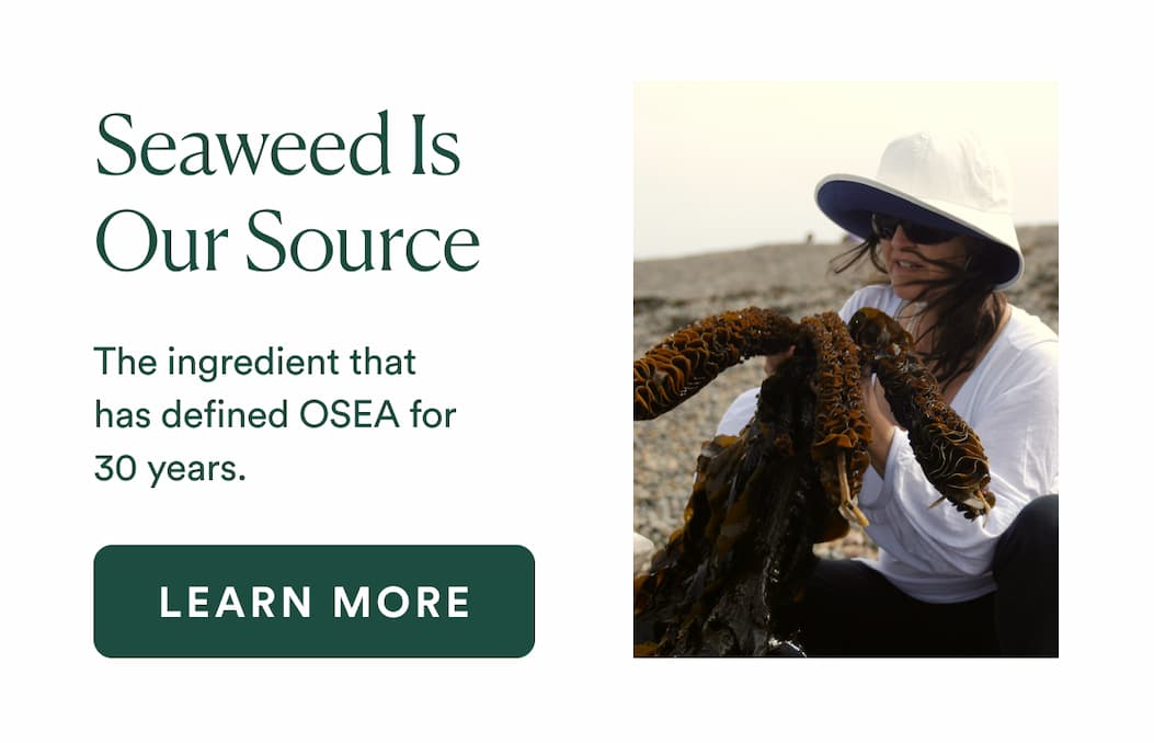 Seaweed Is Our Source : The ingredient that has defined OSEA for 30 years.
