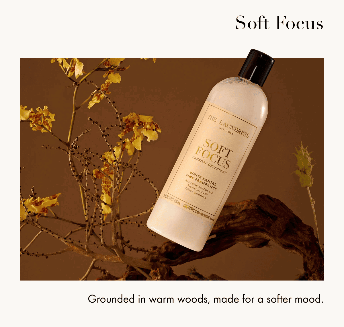 Soft Focus | Grounded in warm woods, made for a softer mood.