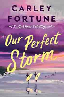 Our Perfect Storm: A Novel