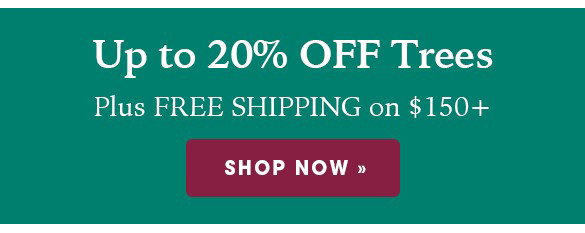FINAL HOURS: Up to 20% OFF Perennials + Free Shipping on $150+