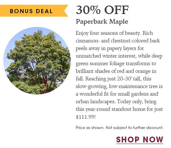 FINAL HOURS: Up to 20% OFF Perennials + Free Shipping on $150+