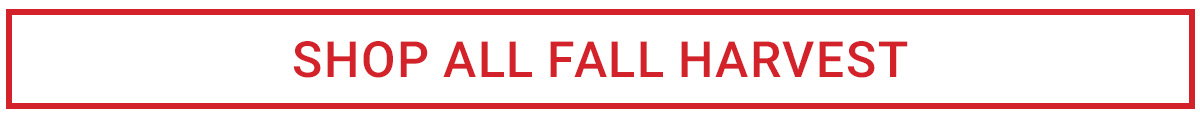 SHOP ALL FALL HARVEST