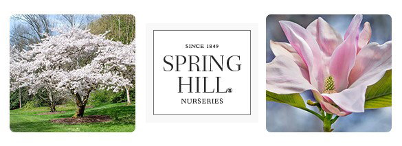TODAY ONLY: Up to 20% OFF Trees + Free Shipping on $150+