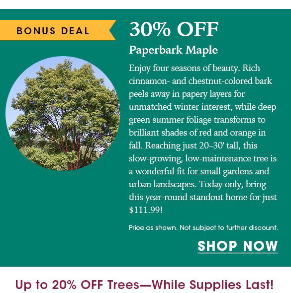 TODAY ONLY: Up to 20% OFF Trees + Free Shipping on $150+