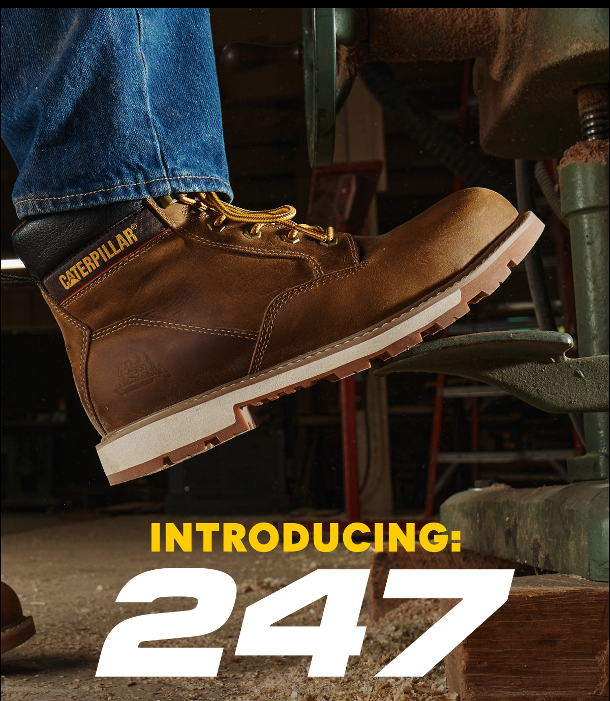 CAT - INTRODUCING: 247.