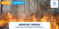 Actu juridique