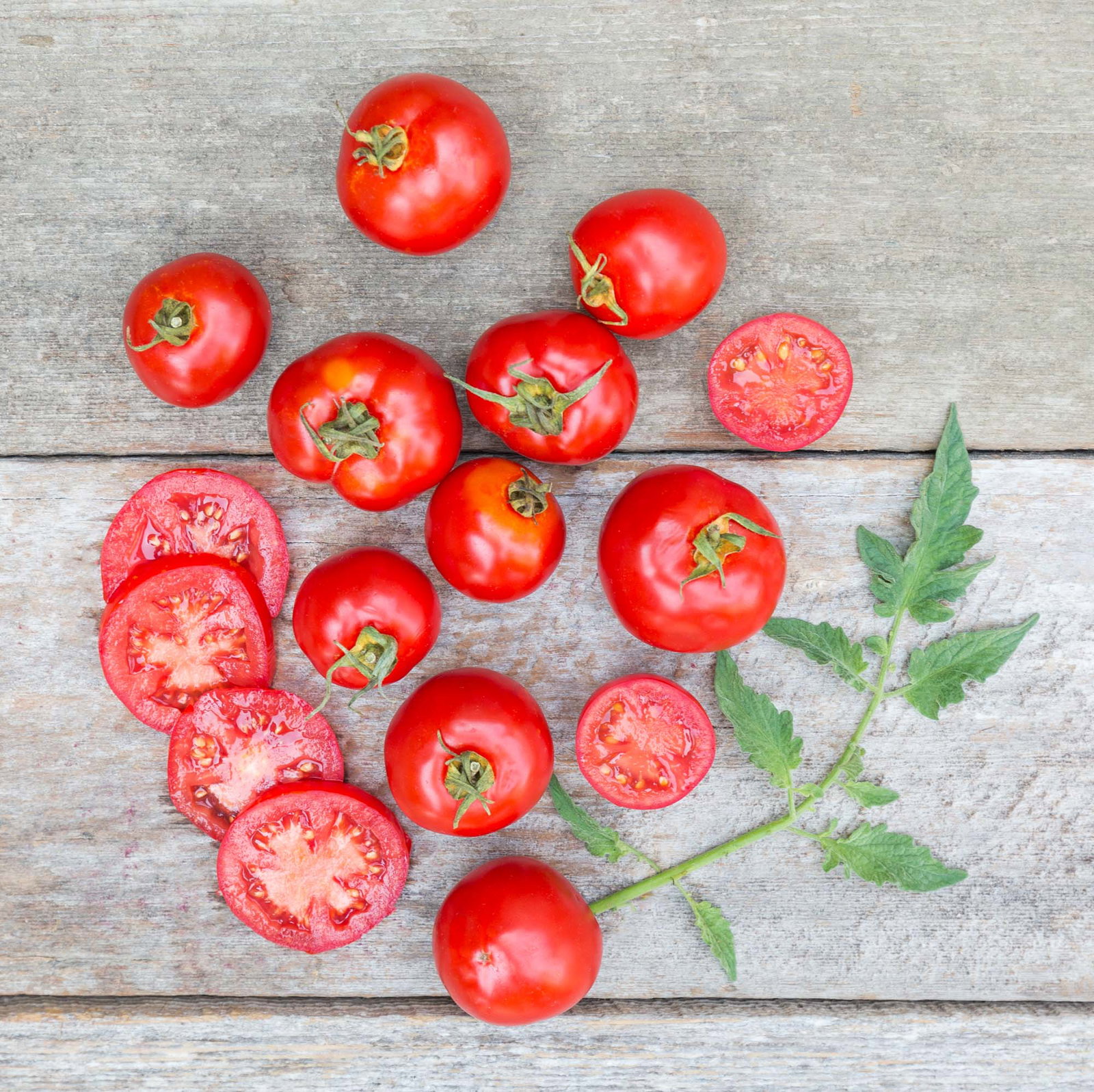 Image of Organic Tomatoes
